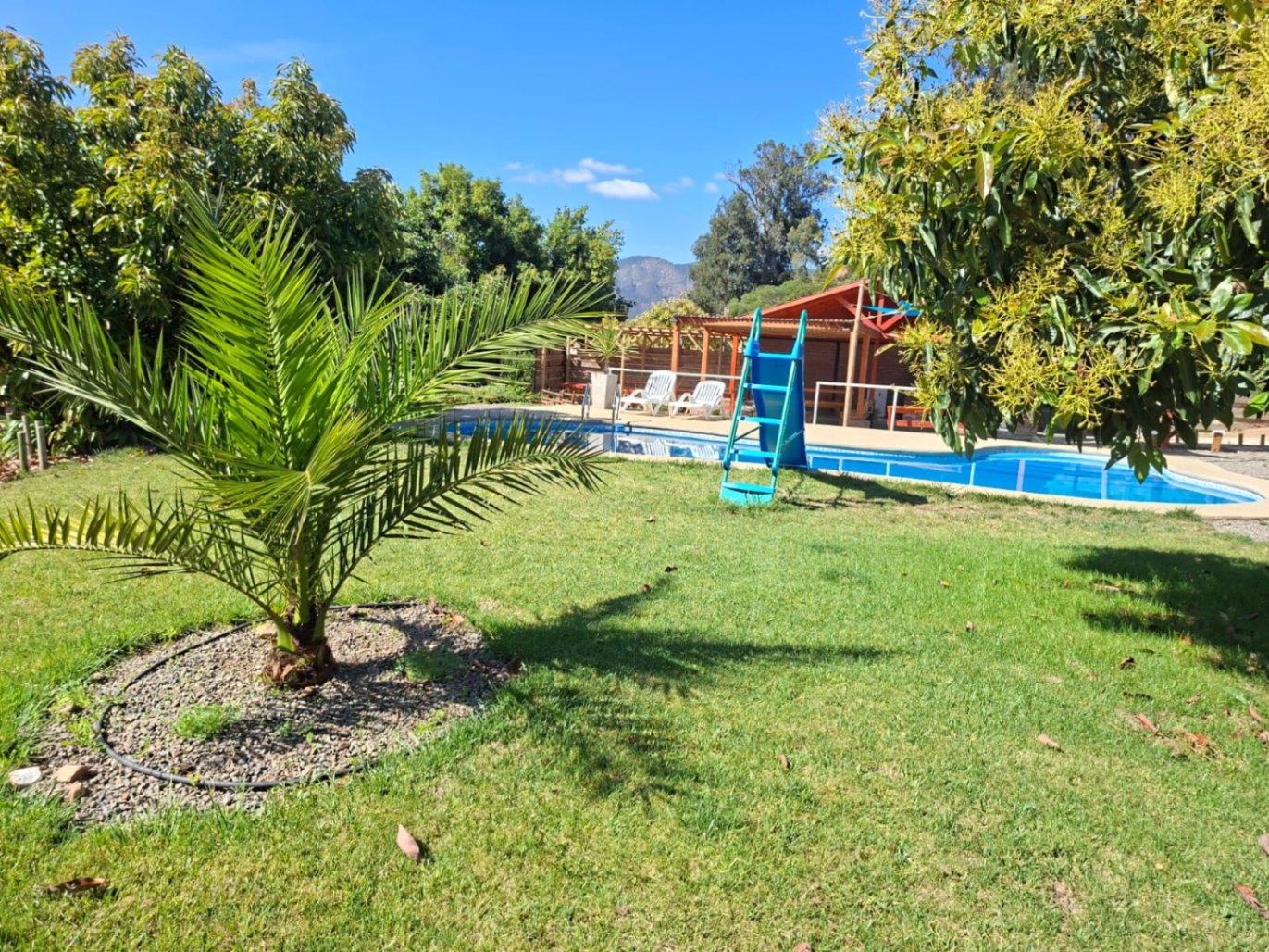 Fundo de 49 Hectáreas en Venta, con paltos en producción y área turística. 